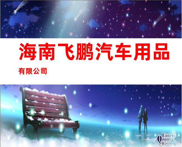 海南飞鹏汽车用品有限公司